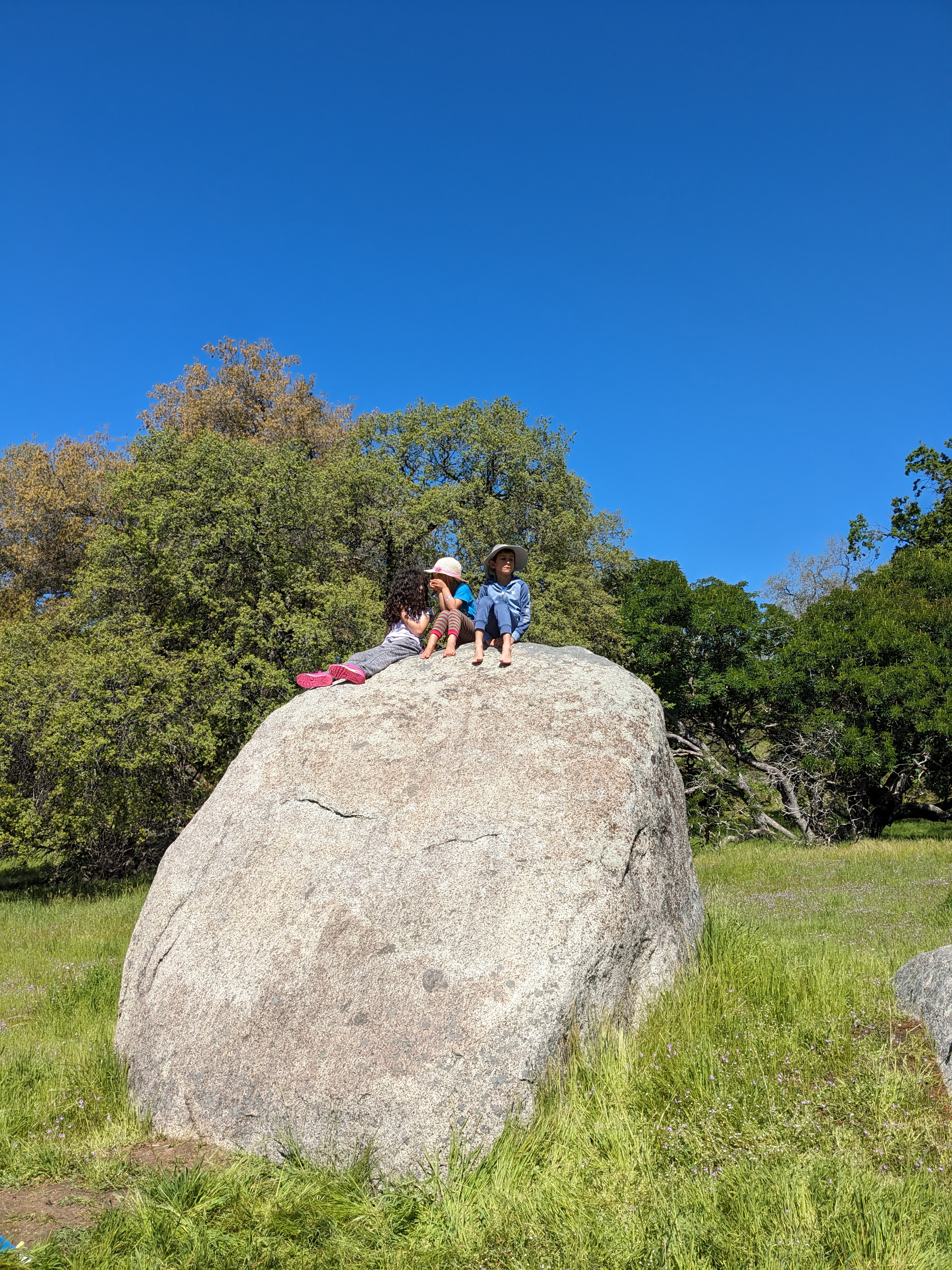Nature learning activities