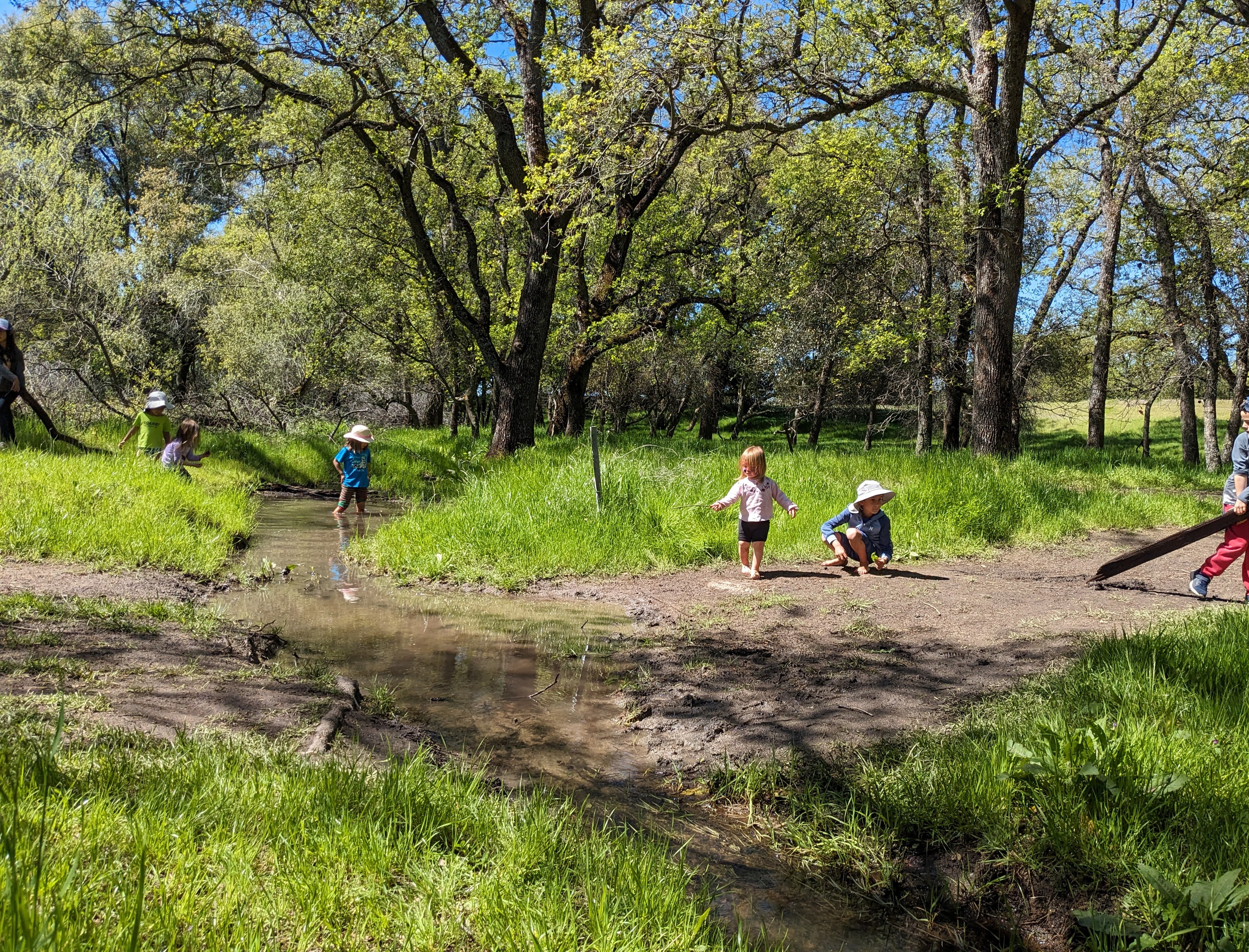 Children in forest setting