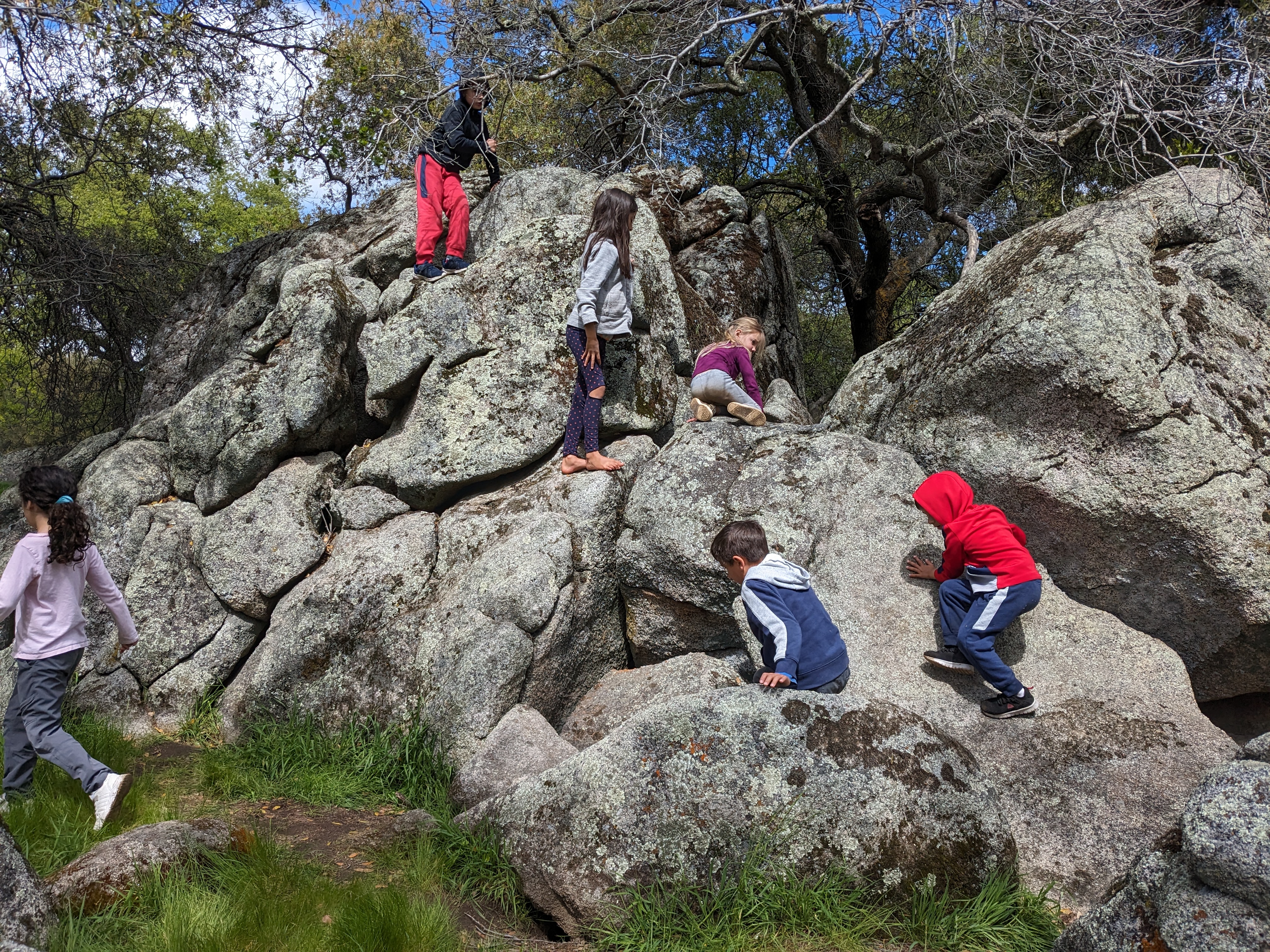 Children exploring nature at Placer Forest School
