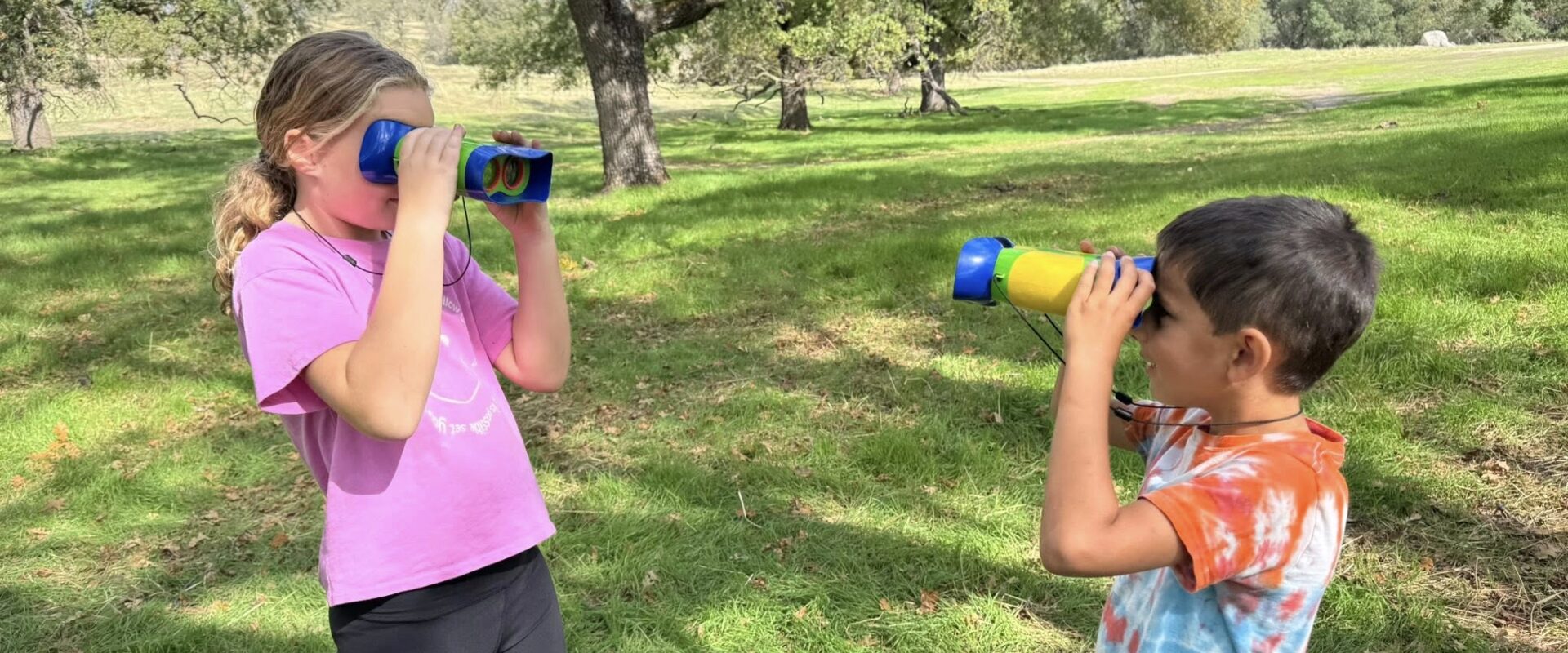Children using binoculars to explore nature in a green meadow