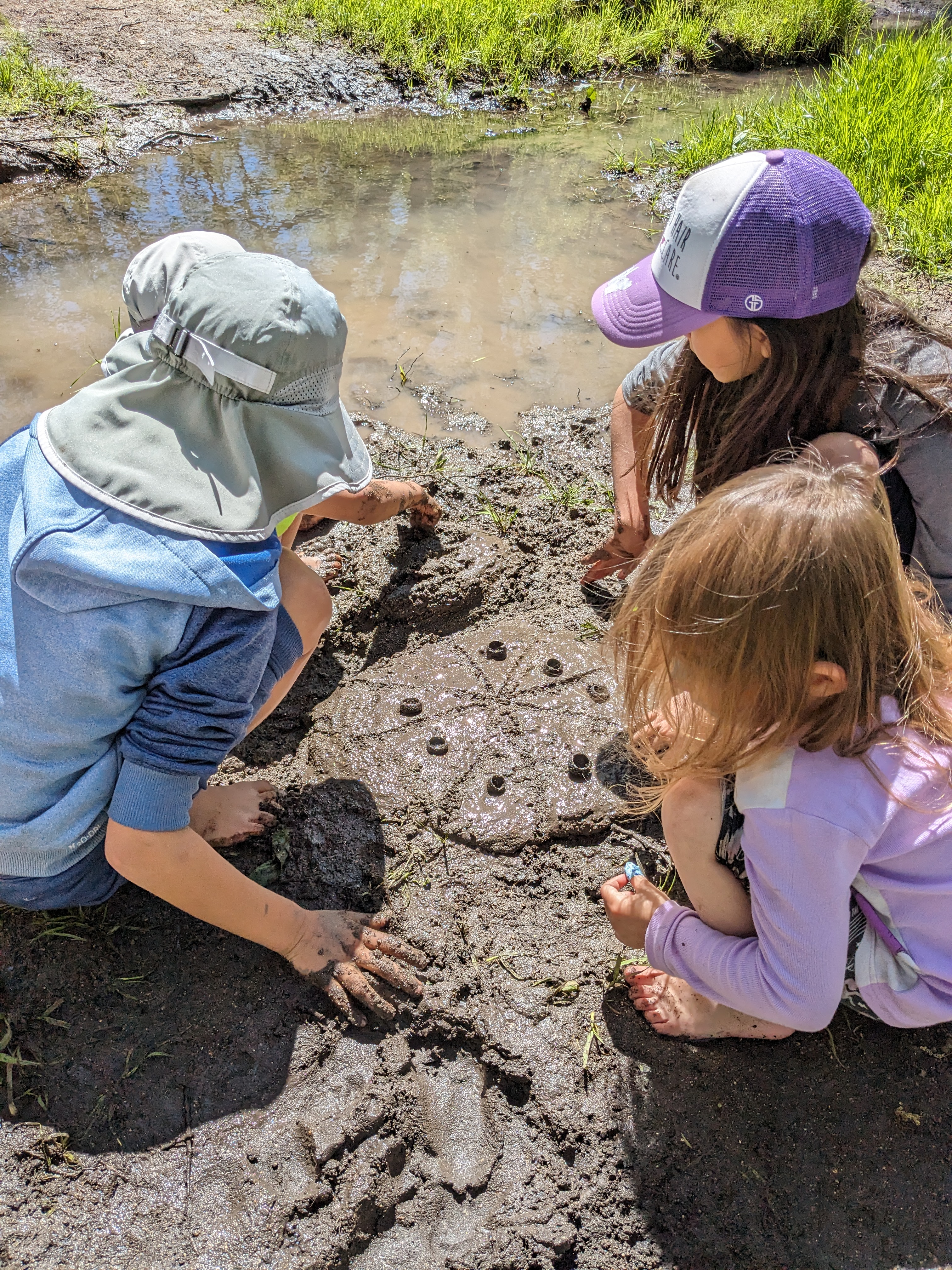Nature-based activities
