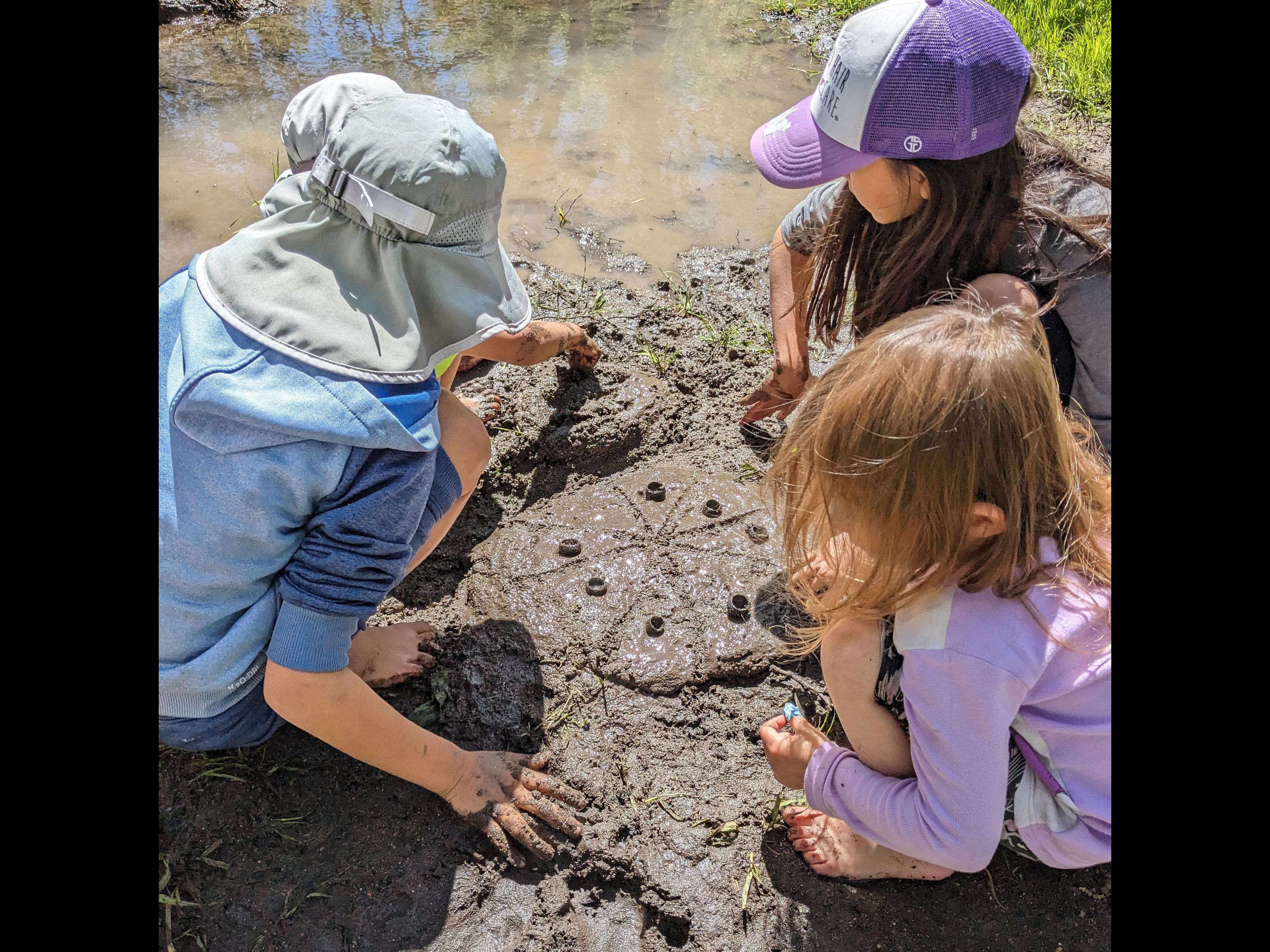 Forest school community
