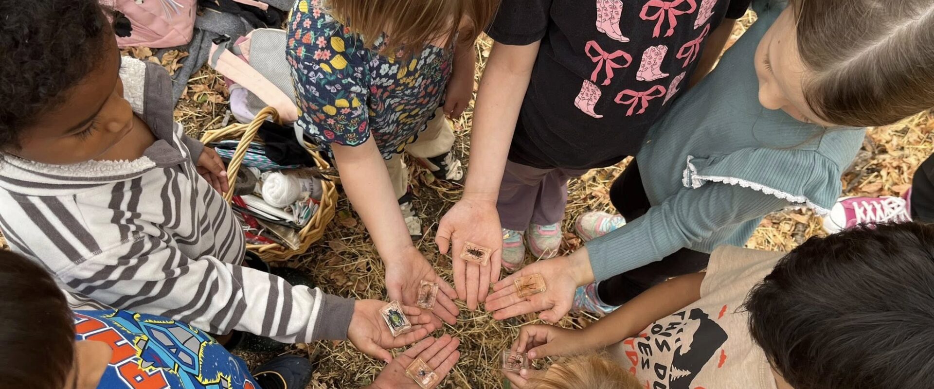 Circle of children sharing nature finds with their hands together
