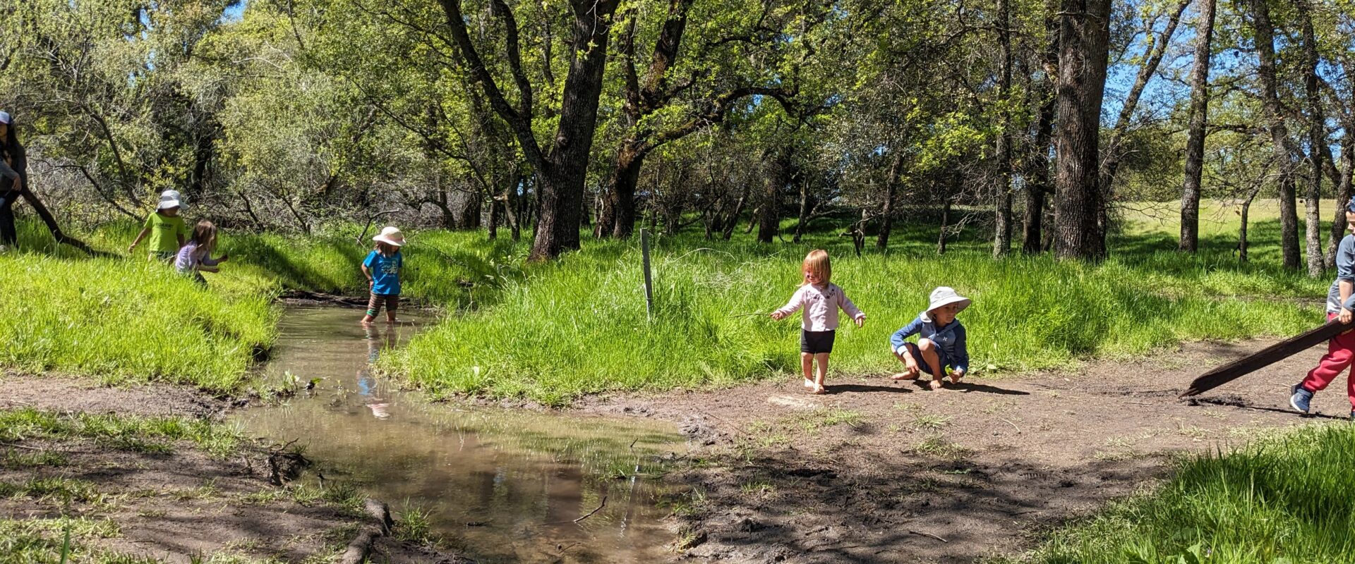 Children playing along a creek in spring oak woodland at Placer Forest School